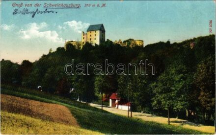 Swiny, Schweinhausburg / Swiny Castle. Franz Pietschmann No. 4094. (EK)