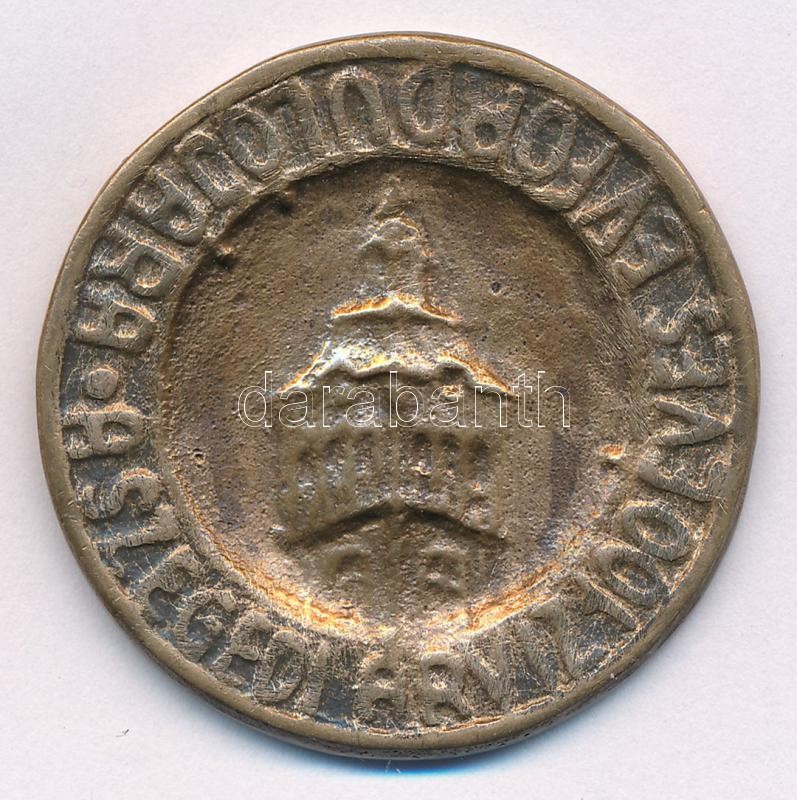1979. 'A szegedi árvíz 100 éves évfordulójára' egyoldalas Br emlékérem (41mm) T:2- ph
