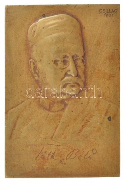 Csillag István (1881-1968) 1907. 'Tóth Béla' egyoldalas Br plakett (74x49mm) T:2,2- patina, ph, karc
