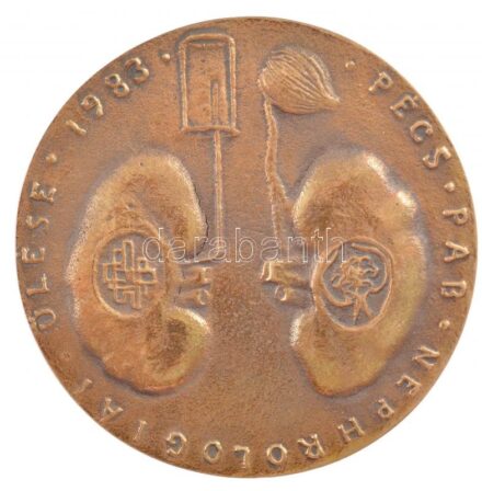 1983. 'Pécs Pab. Nephrologiai Ülése 1983. ' egyoldalas Br emlékplakett (82mm) T:2 repedés, kis ph