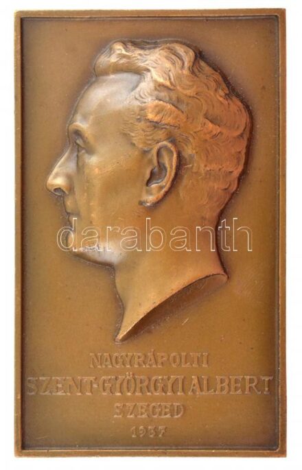 Szentgyörgyi István (1881-1938) 1937. 'Nagyrápolti Szent-Györgyi Albert - Szeged' egyoldalas Br plakett (81x50mm) T:1-,2 ph, az egyik sarkából kis letörés