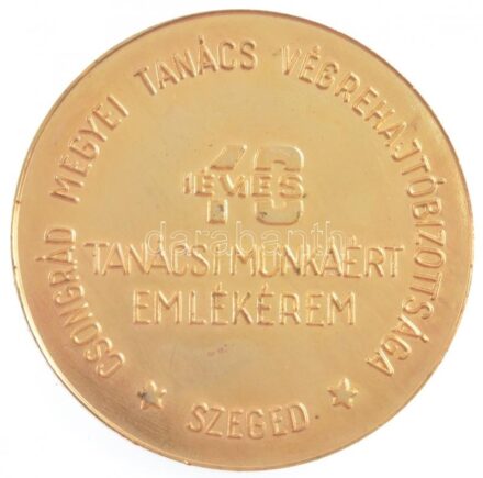 ~1980. 'Csongrád Megyei Tanács Végrehajtóbizottsága, Szeged - 10 éves tanácsi munkáért' kétoldalas aranyozott Br emlékérem (70mm) T:2 patina, ph, kopott aranyozás