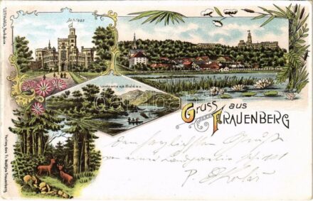 1898 (Vorläufer) Hluboká nad Vltavou, Frauenberg; Schloss, Landpartie a. d. Moldau / castle, general view, riverside, deer. Lit. F. Hoblik. Art Nouveau, floral, litho (EK)