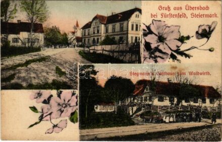 Übersbach bei Fürstenfeld (Steiermark), Stegmann's Gasthaus zum Waldwirth / hotel, restaurant. Floral
