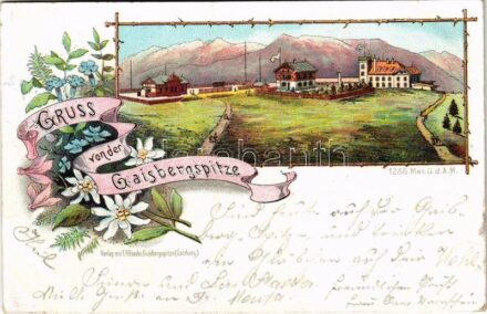 1900 Salzburg, Gruss von der Gaisbergspitze. Verlag v. F. Pflauder Art Nouveau, floral, litho