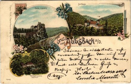1898 (Vorläufer) Aggsbach, Ruine Aggstein, Karthause, Paredschneiders Gasthof / castle ruins, charterhouse, inn. Franz Pölzl Art Nouveau, floral, litho (fl)