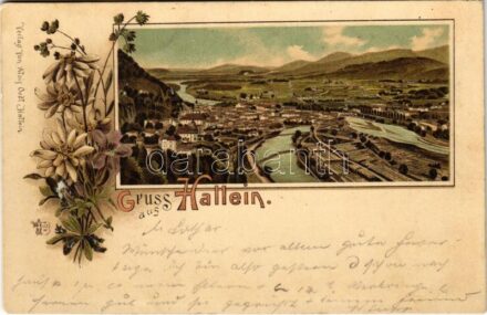 1897 (Vorläufer!) Hallein, general view. Art Nouveau, floral, litho (EB)