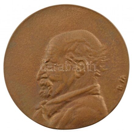 Borsos Miklós (1906-1990) 1981. 'Medgyessy Ferenc születésének 100 éves évfordulójára 1981' kétoldalas, öntött bronz emlékérem (65mm) T:1-