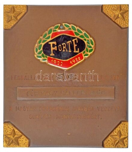 1972. 'FORTE 1922-1972' műgyantás rátét részben aranyozott bronz plaketten, névre szóló gravírozással 'FENNÁLLÁSÁNAK 50. ÉVFORDULÓJÁN - A MAGYAR FOTOKÉMIAI IPARBAN VÉGZETT SOKÉVES MUNKÁSSÁGÁÉRT', eredeti dísztokban