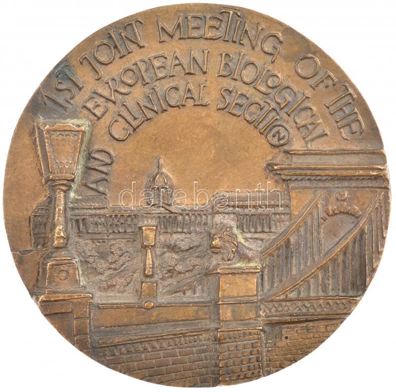 Borsos Miklós (1906-1990) 1956. 'Balaton part' öntött Br plakett (~143x128mm) T:1- Hungary 1956. 'Coastal of Balaton' cast Br plaque. Sign: Miklós Borsos (~143x128mm) C:AU - Image 3