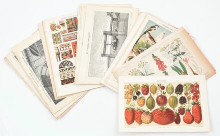 cca 1890-1900 38 db vegyes illusztráció lexikonokból (Pallas, Athenaeum, Meyer's), vegyes állapotban, 24x16 cm körül