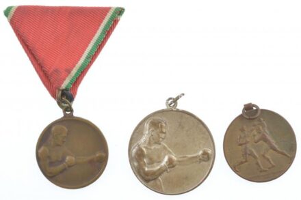 ~1930. 'Turulmadár' ezüstözött Br ökölvívó díjérem 'Ludvig' gyártói jelzéssel + 'MÁV Gépgyári Sportkör' Br díjérem + Br ökölvívó díjérem mellszalagon T:2,2-