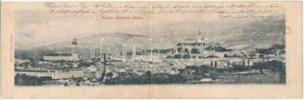 1901 Nyitra, Nitra; Általános látkép a gőzmalommal. Neuman József kiadása, Két részes kinyitható panorámalap / general view with the mill. 2-tiled folding panoramacard (fl)
