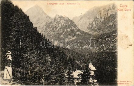 Tátra, Magas-Tátra, Vysoké Tatry; Tarpataki völgy, kiránduló hölgy / Kolbachtal / hiking lady