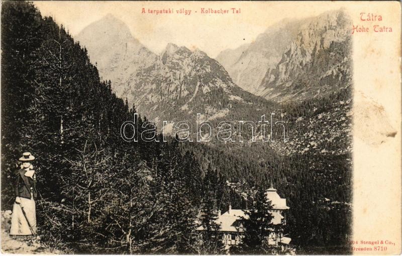 Tátra, Magas-Tátra, Vysoké Tatry; Tarpataki völgy, kiránduló hölgy / Kolbachtal / hiking lady