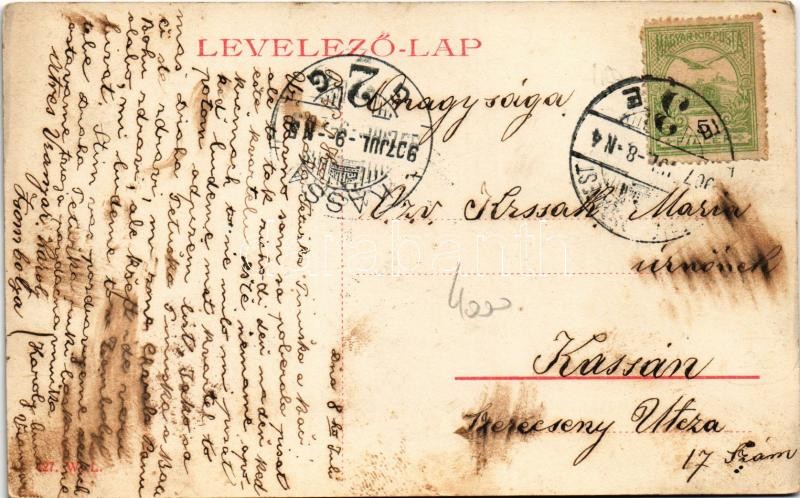 1907 Zsombolya, Jimbolia; Muschong palota, gyógyszertár, Ifj. Keks. kárpitos és tisztító üzlete. W.L. 427. / palace, shops, pharmacy (fl) - Image 2