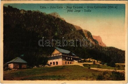 Tátra, Vysoké Tatry; Zerge szálló a Nagy Tarpataki völgyben / Gasthaus zur Gemse im Kolbachtal / Rainerova chata / rest house