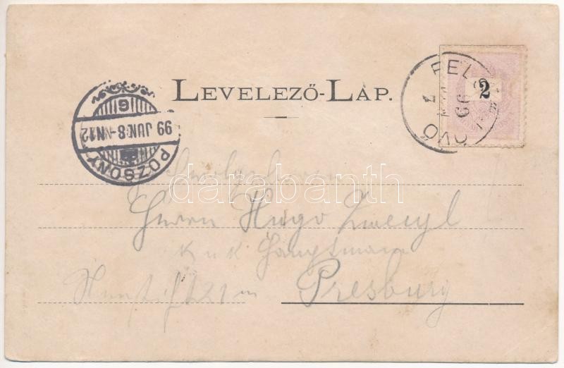 1899 (Vorläufer) Felsőlövő, Oberschützen; Villa, Nevelőintézet / Schule / school. Art Nouveau, floral (EK) - Image 2