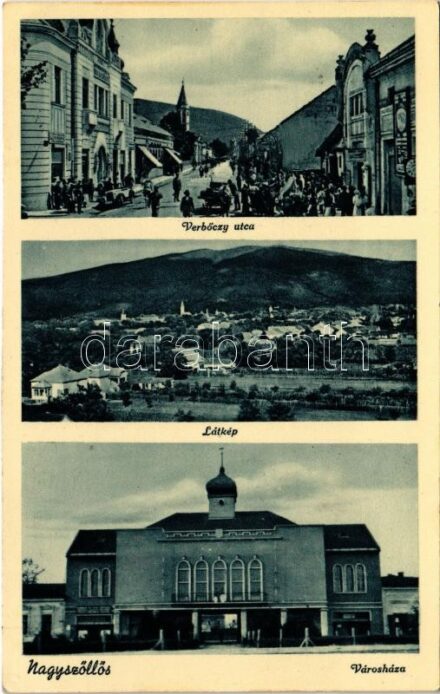 Nagyszőlős, Nagyszőllős, Vynohradiv (Vinohragyiv), Sevljus, Sevlus; Verbőczy utca, piac, városház / street, market, town hall