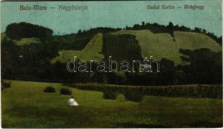 1940 Nagybánya, Baia Mare; Virághegy / Dealul florilor + 'Tábori posta'