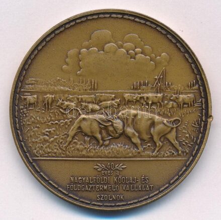 1991. 'NKFV 1951-1991 / 40 éves a Nagyalföldi Kőolaj- és Földgáztermelő Vállalat Szolnok' bronz emlékérem (42,5mm) T:1-