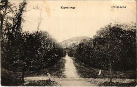 1918 Piliscsaba, Kopaszhegy. Blau Adolf kiadása (EK)