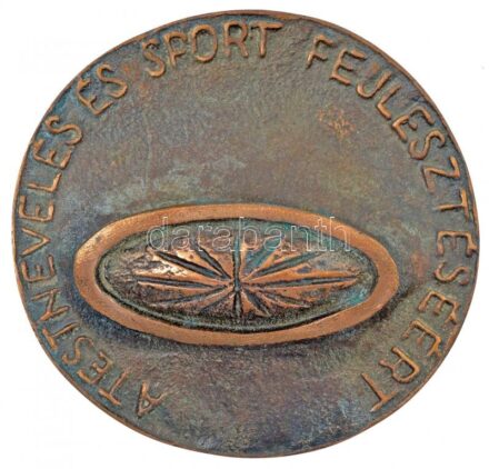 1994. 'Testnevelés- és Sportfejlesztéséért' öntött bronz emlékplakett (115mm) eredeti tokban, fedelében aranyozott Br lemezplakettel 'Testnevelés és Sport Fejlesztéséért Emlékplakett - Molnár Gyula - 1994' T:2
