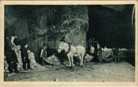 Wieliczka, Górnicy przy pracy / Miners at work, salt mine, interior with mining horse, pit pony, mine carts