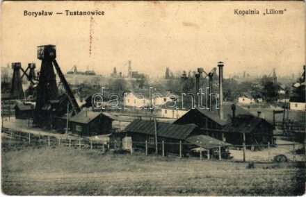 Boryslav-Tustanovychi, Boryslaw-Tustanowice; Kopalnia 'Liliom' / oil rig, oil well (fa)