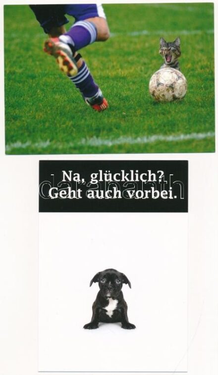 49 db MODERN használatlan állatos humoros motívum képeslap, duplikáltak is / 49 modern unused motive postcards with humorous animals, some duplicate copies