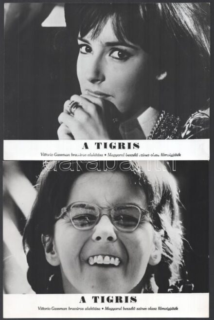 cca 1967 ,,A tigris' című olasz film jelenetei és szereplői (köztük Vittorio Gassman), 11 db vintage produkciós filmfotó, ezüst zselatinos fotópapíron, a használatból eredő (esetleges) kisebb hibákkal, 18x24 cm