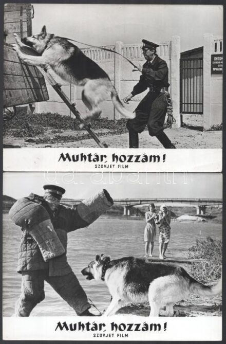 cca 1964 ,,Muhtár, hozzám' című szovjet film jelenetei és szereplői (a főszereplő egy jól kiképzett rendőrkutya), 9 db vintage produkciós filmfotó, ezüst zselatinos fotópapíron, a használatból eredő (esetleges) kisebb hibákkal,