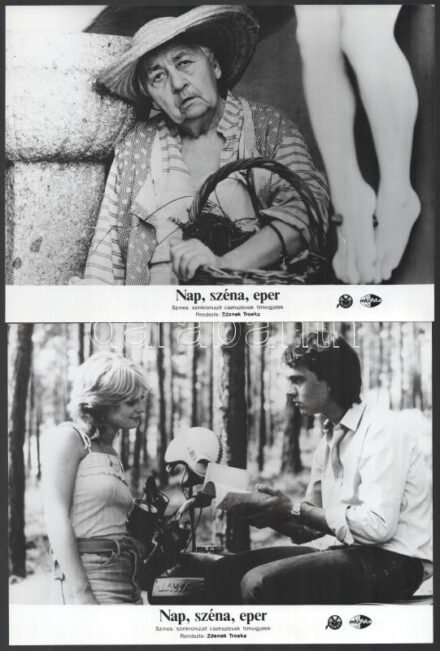 cca 1984 ,,Nap, széna, eper' című csehszlovák filmvígjáték jelenetei és szereplői, 7 db vintage produkciós filmfotó, ezüst zselatinos fotópapíron, a használatból eredő (esetleges) kisebb hibákkal, 18x24 cm