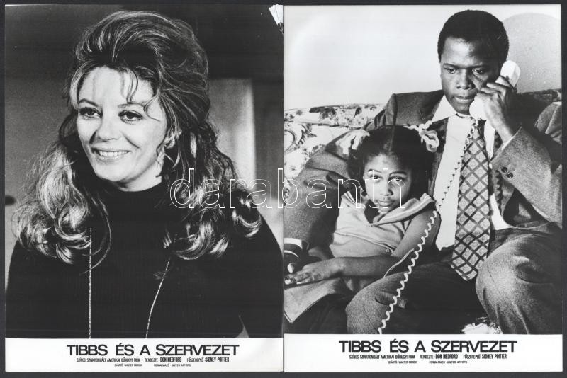 cca 1971 ,,Tibbs és a szervezet' című amerikai bűnügyi film jelenetei és szereplői, 9 db vintage produkciós filmfotó, ezüst zselatinos fotópapíron, a használatból eredő (esetleges) kisebb hibákkal, 18x24 cm - Image 4