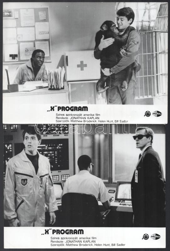 cca 1987 ,,X program' című amerikai film jelenetei és szereplői, 9 db vintage produkciós filmfotó, ezüst zselatinos fotópapíron, a használatból eredő (esetleges) kisebb hibákkal, 18x24 cm - Image 3