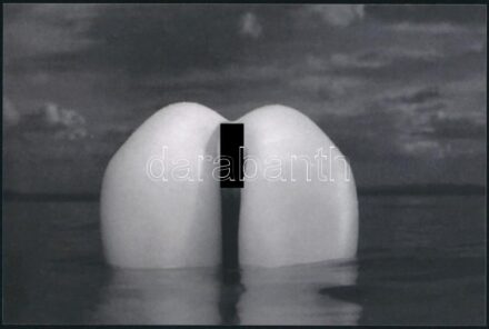 cca 1987 Kapásjelző, nem csak pecásoknak, szolidan erotikus felvétel, 1 db mai nagyítás egy műgyűjtő hagyatékából, 10x15 cm