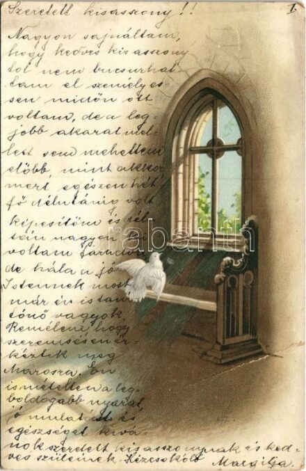 1901 Litho greeting card with dove (fa)