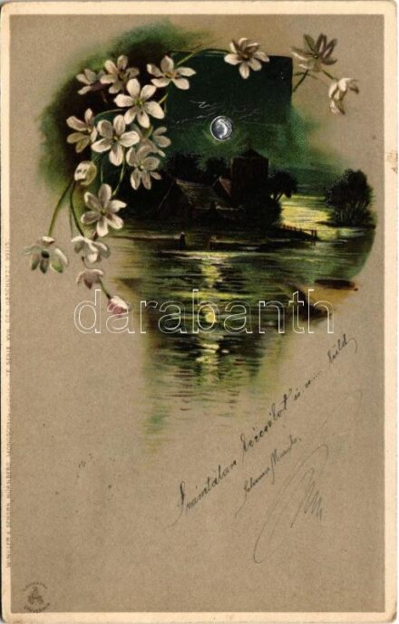 1901 Winkler & Schorn 'Mondschein'-Postkarte Serie XVII. litho (EK)