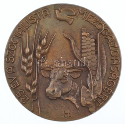 Lajos József (1936-) DN '25 év a szocialista mezőgazdaságért' egyoldalas, öntött bronz plakett (91mm) T:1-