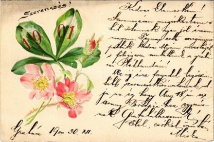 1900 Boldog Újévet / New Year greeting art postcard with clover. Emb. litho (lyuk / pinhole)