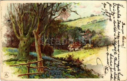 1901 Winkler & Schorn 'Sonnenschein'-Postkarte Serie XIII. litho (EK)