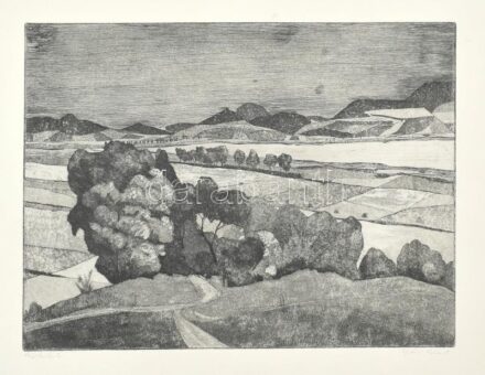 Nyári Lóránt (1928-1982): Szép kilátó. Rézkarc, papír, jelzett, üvegezett keretben, 29x39 cm