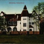 Kecskemét, Művésztelep, Közös műterem. Vasúti levelezőlapárusítás 28. 1915.