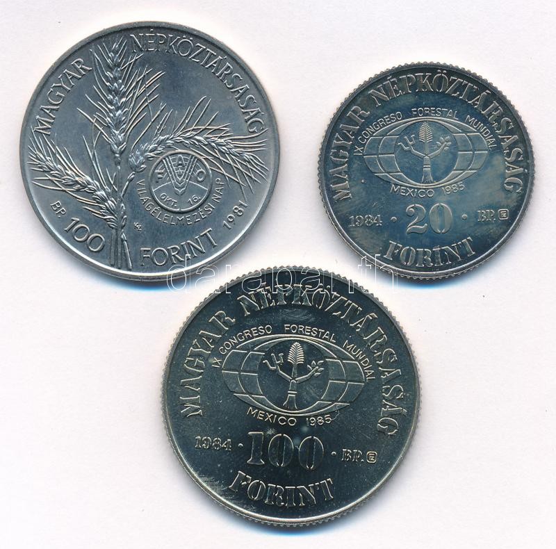 1981. 100Ft Ni 'FAO I. - Világélelmezési nap' + 1984. 20Ft Cu-Ni 'FAO - Védd az erdőt' + 100Ft Cu-Ni 'FAO - Ha kivágod, ültess is' T:1- patina, az egyiken karc Adamo EM66, EM80, EM81 - Image 2
