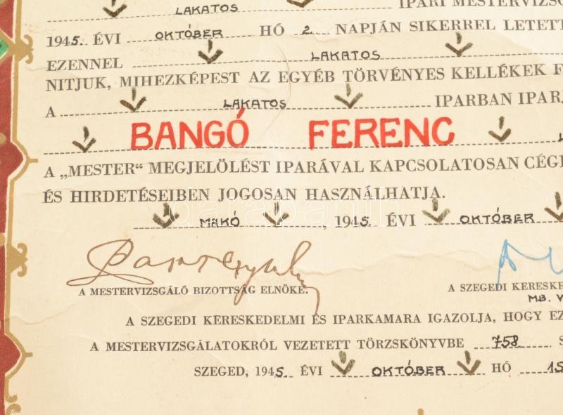 1945 Makó, lakatos mesteri díszoklevél, aláírásokkal, szakadt, 55 x 42 cm - Image 2
