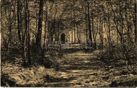 Hannover (?), Heide-Wald
