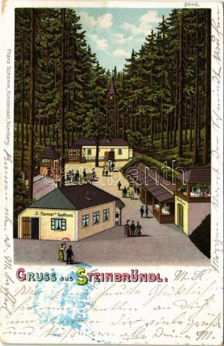 1900 Krummnußbaum, Krumnussbaum; Gruss aus Steinbründl. Josef Renner Gastwirth M.-Steinbründl. Art Nouveau, floral, litho (EK)