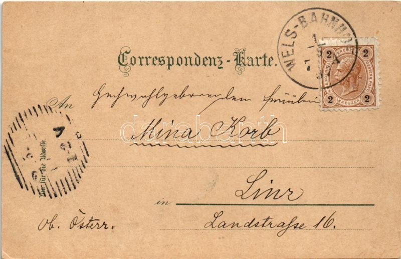 1899 (Vorläufer) Wels, Marien-Warte, Schloss Lichtenegg / castle. Art Nouveau, floral, litho (EK) - Image 2