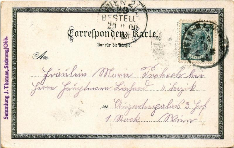 1900 Wels, Marien-Warte, general view. Art Nouveau, floral, litho (EK) - Image 2