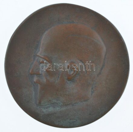 DN 'Dr. Scharl Pál emlékérem' kétoldalas, öntött bronz emlékérem (75-76mm) T:2 patina